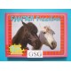 Paarden puzzelboek nr. 3789-02